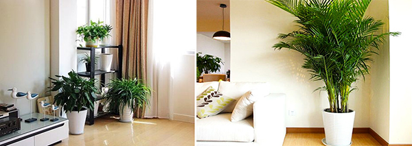 北京舒特通州保潔:新房開(kāi)荒+去甲醛雙管齊下業(yè)主打造安心家